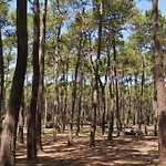 شقة Reve De Bisca Spacieux Climatise Avec Jardin Privatif Piscine Et Parking Prives بيسكاروس