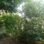 Reve De Bisca Spacieux Climatise Avec Jardin Privatif Piscine Et Parking Prives