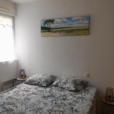 Reve De Bisca Spacieux Climatise Avec Jardin Privatif Piscine Et Parking Prives Apartment Biscarrosse