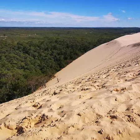 Reve De Bisca Spacieux Climatise Avec Jardin Privatif Piscine Et Parking Prives *