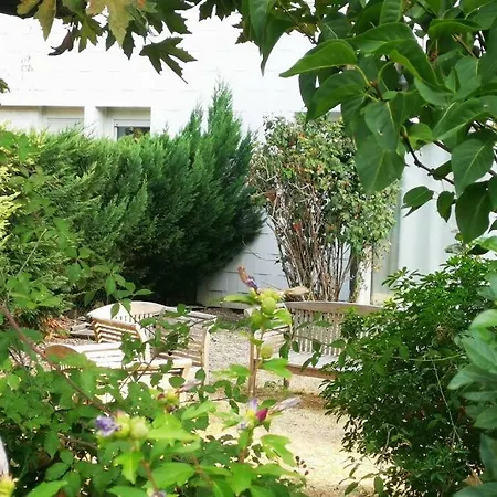 Reve De Bisca Spacieux Climatise Avec Jardin Privatif Piscine Et Parking Prives Apartmán
