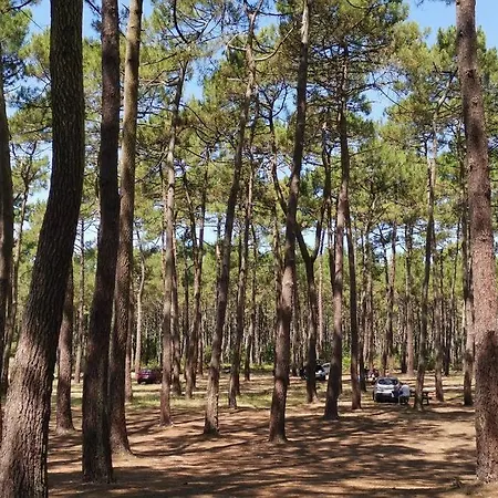 Apartmán Reve De Bisca Spacieux Climatise Avec Jardin Privatif Piscine Et Parking Prives Biscarrosse