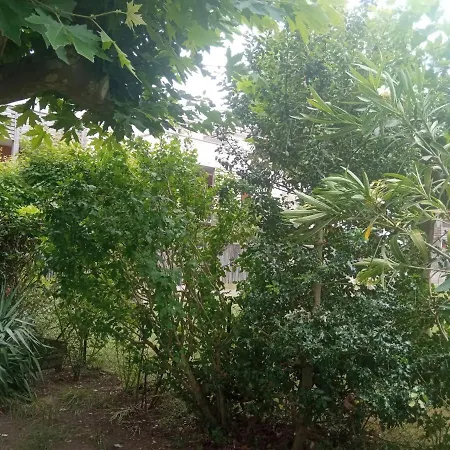 Reve De Bisca Spacieux Climatise Avec Jardin Privatif Piscine Et Parking Prives
