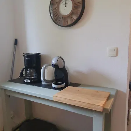 Apartment Reve De Bisca Spacieux Avec Jardin Privatif Piscine Et Parking Prives Biscarrosse