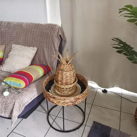 Reve De Bisca Spacieux Avec Jardin Privatif Piscine Et Parking Prives Apartment