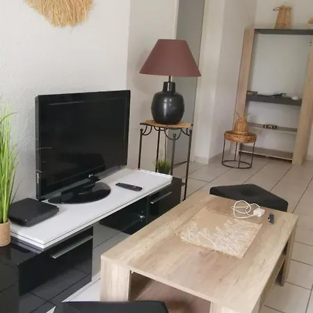 Reve De Bisca Spacieux Climatise Avec Jardin Privatif Piscine Et Parking Prives Apartmán Biscarrosse