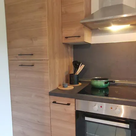 Reve De Bisca Spacieux Avec Jardin Privatif Piscine Et Parking Prives Apartment *